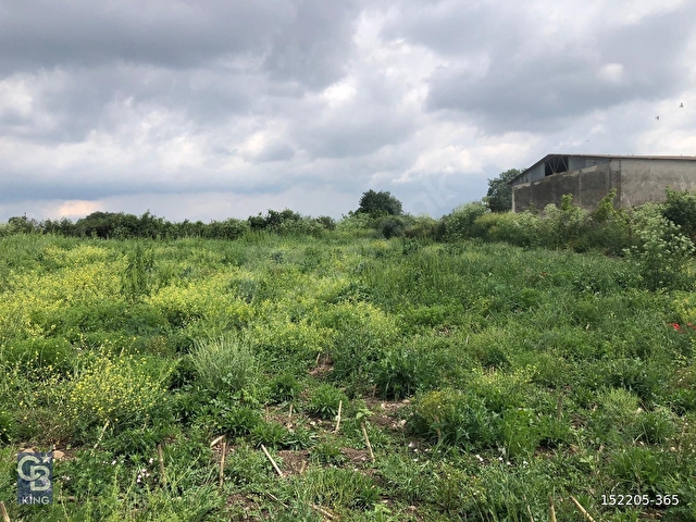 CB KİNGDEN GÖNEN/KURTULUŞ MAHALLESİ 5222m² SATILIK TİCARİ ARSA - Görsel 4