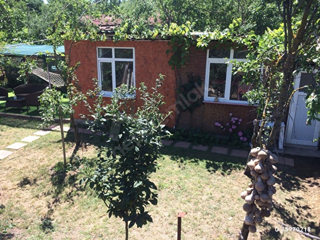 Sahibinden Istanbulda Cok Ozel Bahce 1 1 Ev Kumes Agac Vd 0 35970218 Hurriyet Emlak