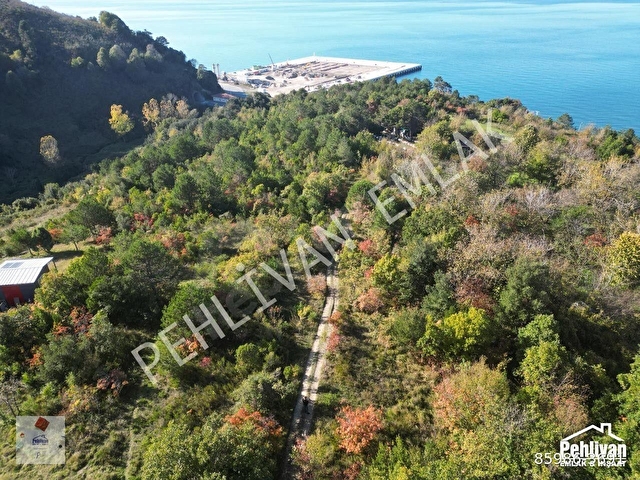 PEHLİVAN EMLAK - ALAPLI KILÇAK 2346 M2 SATILIK YATIRIMLIK ARSA - Görsel 8