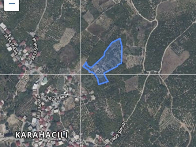 KAÇIRILMAYACAK FIRSAT! Yenişehir Karahacılı mahallesinde Meyve Ağaçlı Bahçe