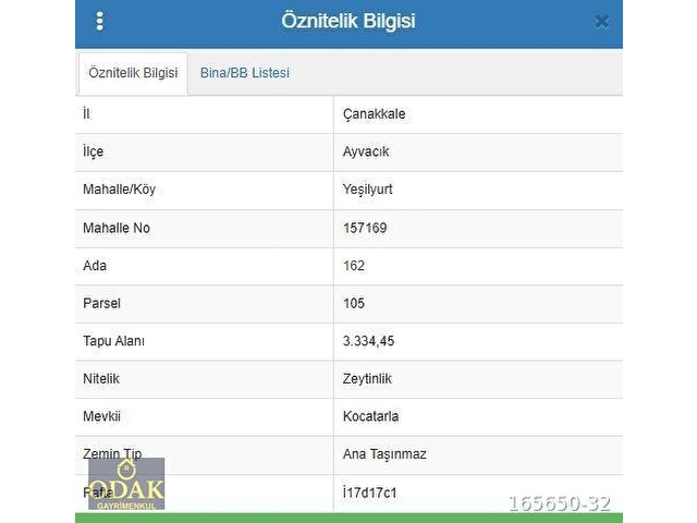 AYVACIK YEŞİLYURTTA İZMİR-ÇANAKKALE YOLUNA YAKIN ZEYTİNLİK - Görsel 5