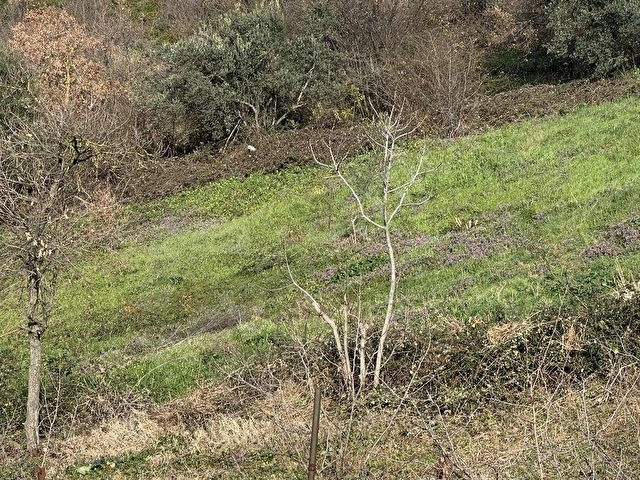 BAŞİSKELE FATİH MAH DE SATILIK VİLLALIK ARSA - Görsel 23