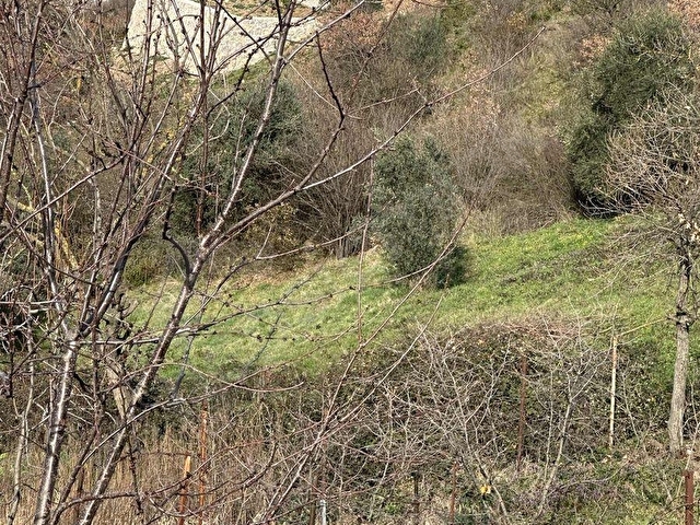 BAŞİSKELE FATİH MAH DE SATILIK VİLLALIK ARSA - Görsel 10
