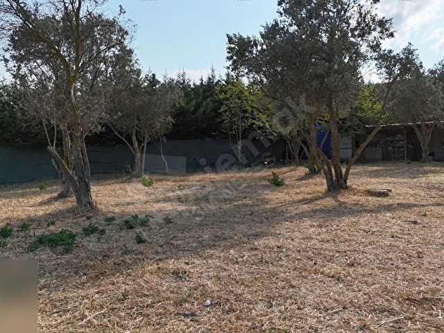 SAKARYA GEYVE KÖPRÜBAŞI 1000 M2 ARSA İÇİNDE 330 M2 MÜSTAKİL EV - Görsel 21