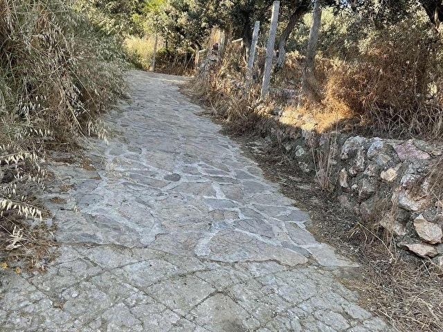 ÖDEN EMLAKTAN PANAROMİK DENİZ MANZARALI SATILIK ZEYTİNLİK - Görsel 24