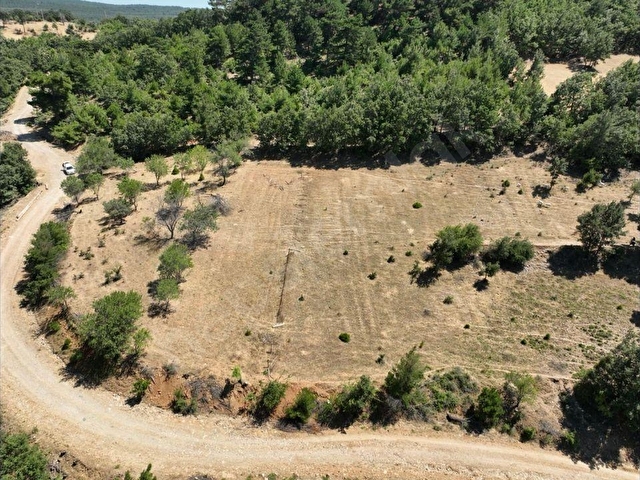 Kazdağları Bayramiç Alakeci köyünde köy kenarı ful manzaralı tar - Görsel 3