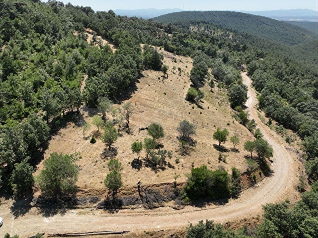 Kazdağları Bayramiç Alakeci köyünde köy kenarı ful manzaralı tar - Görsel 4