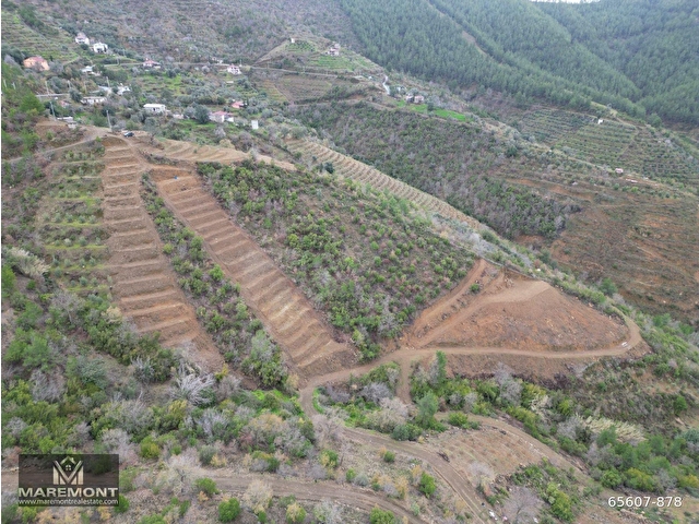 🌱ALANYA DEMİRTAŞ ÇAMLICADA SATILIK 640 M2 MÜSTAKİL TARLA🌱 - Görsel 8