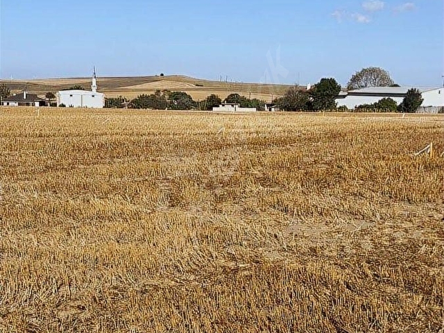 Tekirdağ Gündüzlüde 125 m2 Arsa Tapulu - Görsel 4