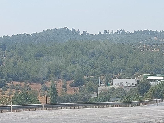 Bodrum Milas Yolu Üzeri Satılık Villa Arsası - Görsel 7