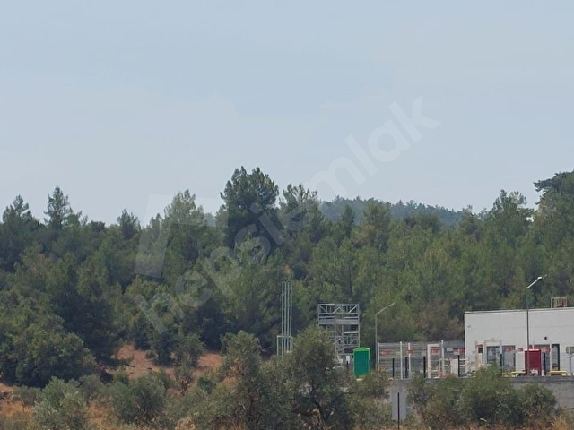 Bodrum Milas Yolu Üzeri Satılık Villa Arsası - Görsel 3