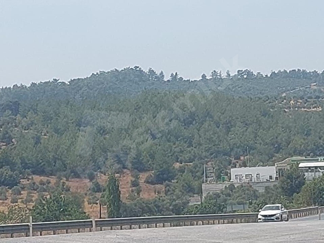 Bodrum Milas Yolu Üzeri Satılık Villa Arsası - Görsel 11