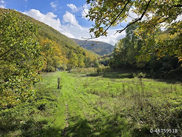 Sakarya Pamukova - Görsel 3