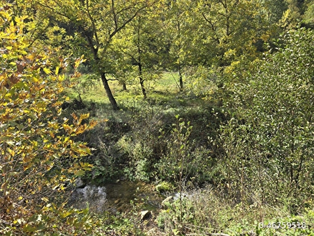 Sakarya Pamukova - Görsel 10