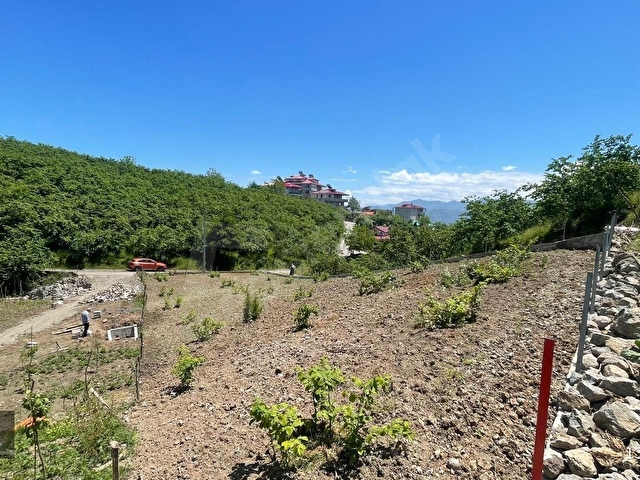Subaşı Mahallesi Satılık Arazi - Görsel 12
