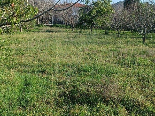 SİNCAN AYAŞ OLTAN MAH TEK TAPU 5500M2 KÖY İÇİNDE SATILIK ARSA - Görsel 3