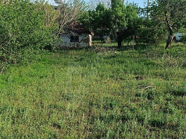 SİNCAN AYAŞ OLTAN MAH TEK TAPU 5500M2 KÖY İÇİNDE SATILIK ARSA - Görsel 5