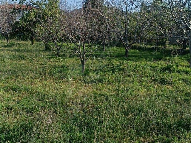 SİNCAN AYAŞ OLTAN MAH TEK TAPU 5500M2 KÖY İÇİNDE SATILIK ARSA - Görsel 11