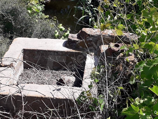 SAHİBİNDEN SATILIK IZMIR-FOÇA KARAYOLUNA CEPHELİ ZEYTİNLİ TARLA (FROM THE OWNER) - Görsel 6