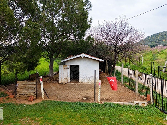 Kemalpaşa Halilbeylide içinde 2 adet ev olan 6792 m² zeytinlik - Görsel 20