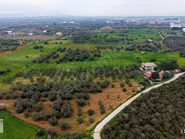 Kemalpaşa Halilbeylide içinde 2 adet ev olan 6792 m² zeytinlik - Görsel 26