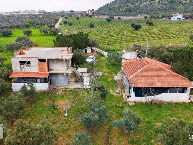Kemalpaşa Halilbeylide içinde 2 adet ev olan 6792 m² zeytinlik - Görsel 14