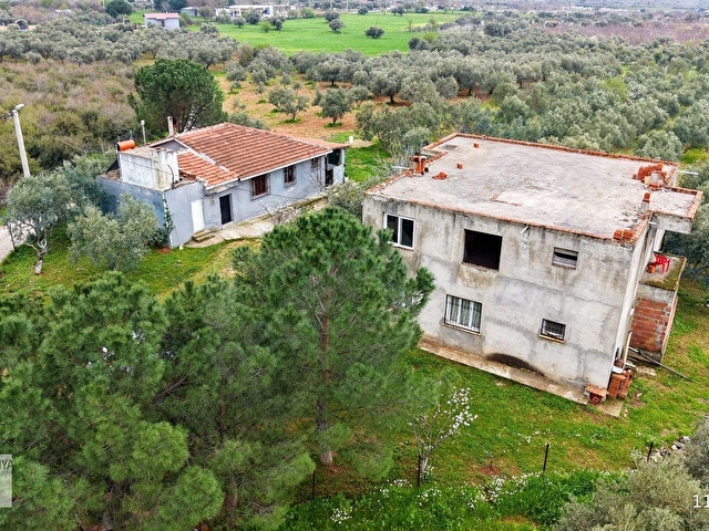 Kemalpaşa Halilbeylide içinde 2 adet ev olan 6792 m² zeytinlik - Görsel 11