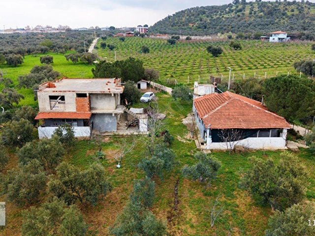Kemalpaşa Halilbeylide içinde 2 adet ev olan 6792 m² zeytinlik - Görsel 6