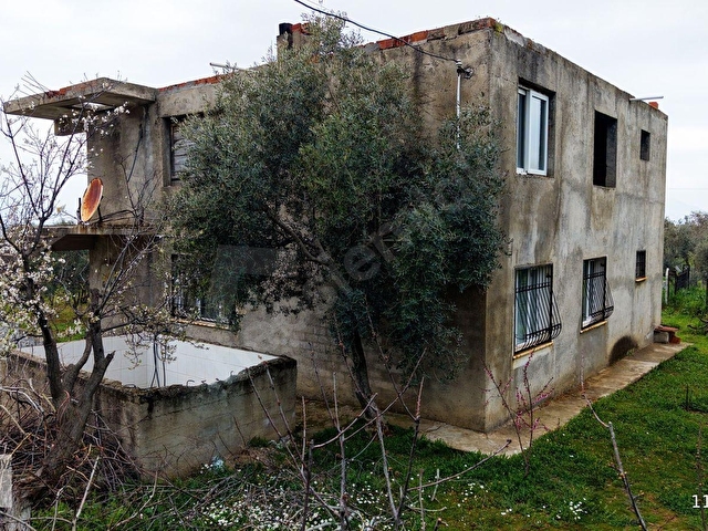 Kemalpaşa Halilbeylide içinde 2 adet ev olan 6792 m² zeytinlik - Görsel 19
