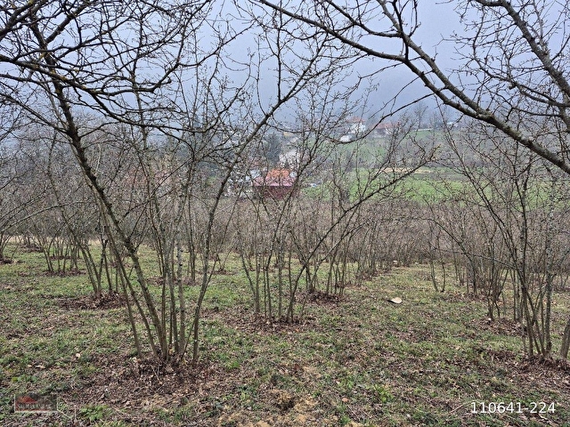 Kaynaşlı Sazköyde Satılık Villa İmarlı Arsa - Görsel 8