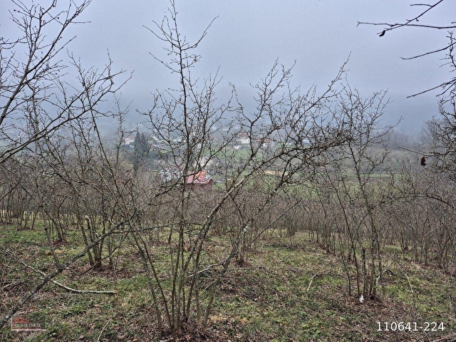 Kaynaşlı Sazköyde Satılık Villa İmarlı Arsa - Görsel 9