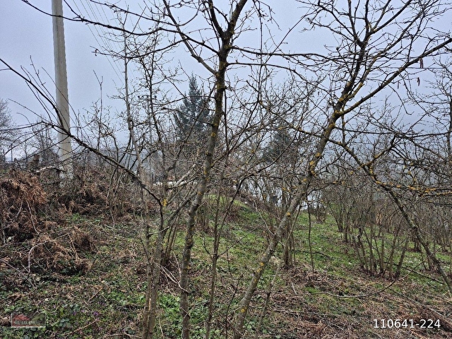 Kaynaşlı Sazköyde Satılık Villa İmarlı Arsa - Görsel 11