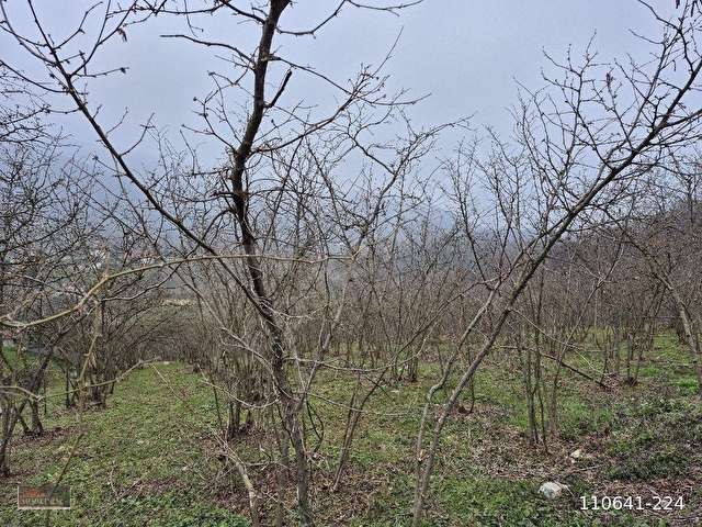 Kaynaşlı Sazköyde Satılık Villa İmarlı Arsa - Görsel 18