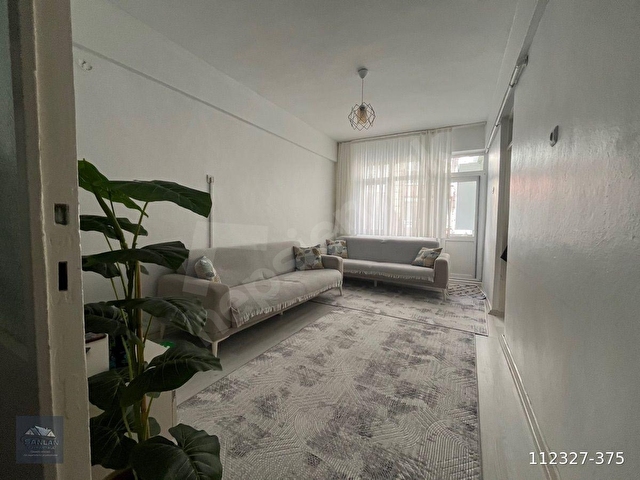 Merkez Gelincik Satılık