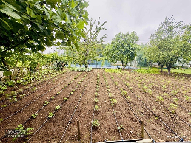 YAŞAR EMLAKTAN SATILIK 3.000 M² ARSA İÇİNDE 4 ADET 4+1 VİLLA - Görsel 17