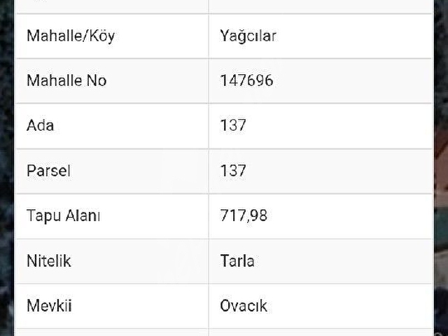 yüzde 40 imarlı Ağva plaja 10 km - Görsel 4