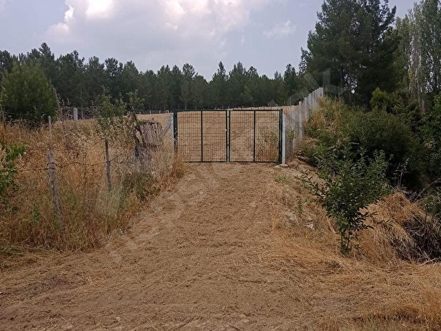 KARAR DAN TAVAS AKYARDA 2050M2 ETRAFI ÇEVRİLİ ASFALT CEPHE TARLA - Görsel 8