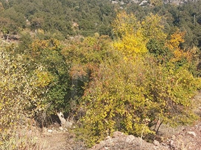 Kumlucada satılık arsa - Görsel 5