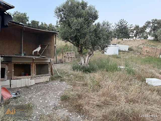 Aliağa Helvacı Fırsaf Satılık Ev & Bahçe - Görsel 27