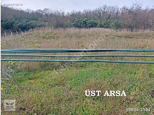 Beykoz Öğümcede 2 parsel arsa toplam 3700m2 Bağ evi ve Bahçe - Görsel 7