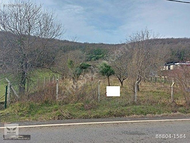 Beykoz Öğümcede 2 parsel arsa toplam 3700m2 Bağ evi ve Bahçe - Görsel 3