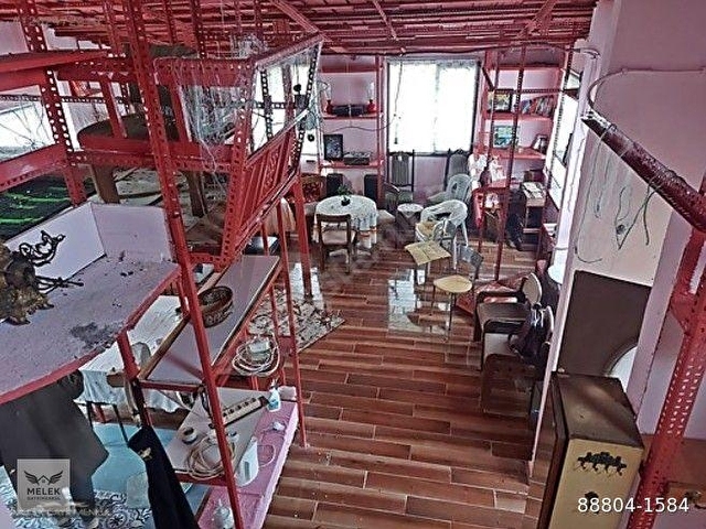Beykoz Öğümcede 2 parsel arsa toplam 3700m2 Bağ evi ve Bahçe - Görsel 14