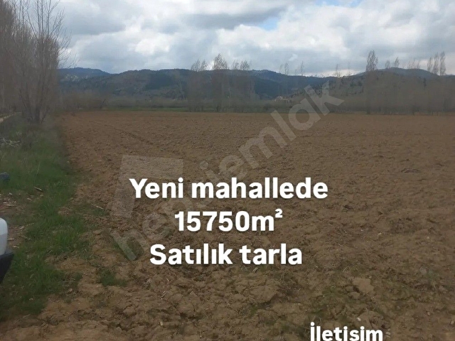 KAHRAMANMARAŞ GÖKSUN YENİ MAHALLEDE SATILIK TARLA YOL VE SU SORUNU YOKTUR.