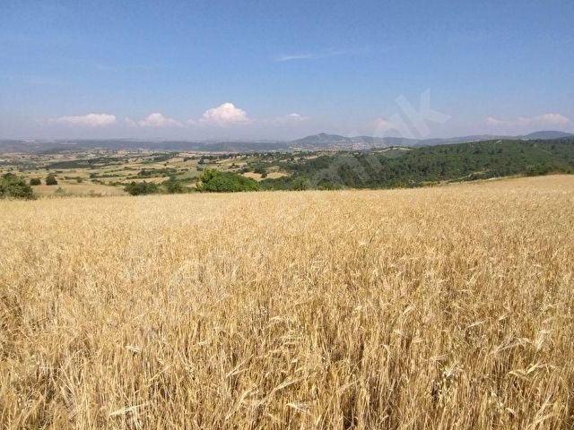 ALTIEYLÜL PAMUKÇU KASABASINDA SATILIK GÜZEL KONUMDA TARLA - Görsel 7