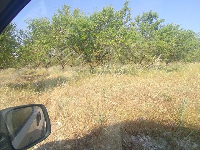 ALTIEYLÜL PAMUKÇU KASABASINDA SATILIK GÜZEL KONUMDA TARLA - Görsel 28