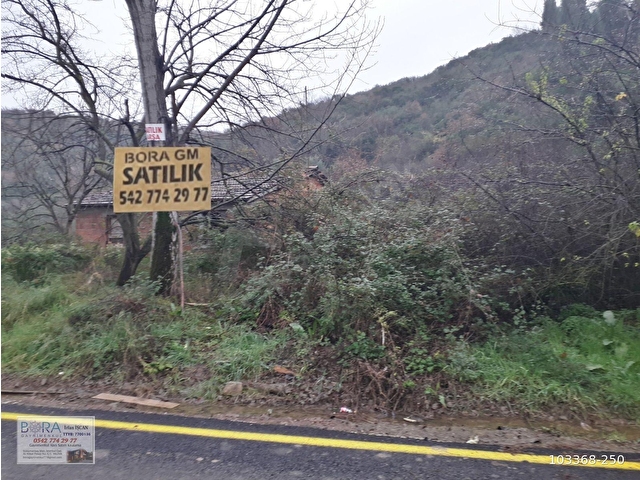 BORAdan, Kaytazderede DENİZ MANZARALI 7309 m² YOLA CEPHE TARLA - Görsel 10