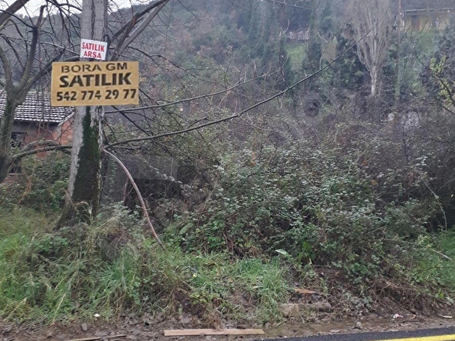BORAdan, Kaytazderede DENİZ MANZARALI 7309 m² YOLA CEPHE TARLA - Görsel 8
