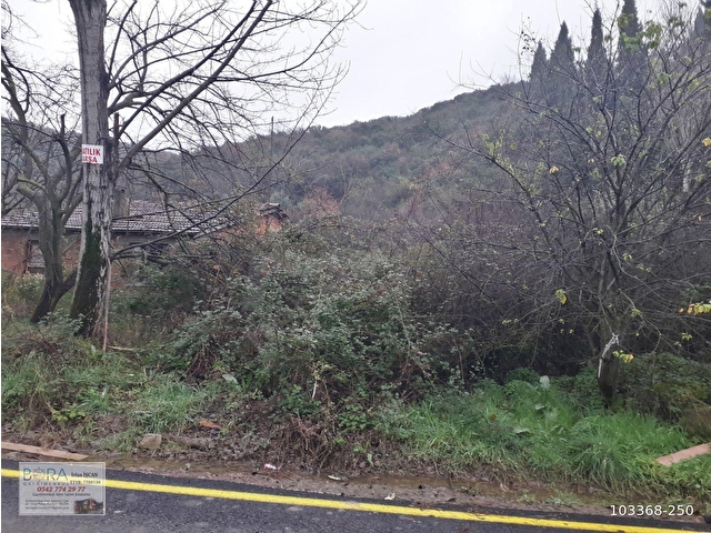BORAdan, Kaytazderede DENİZ MANZARALI 7309 m² YOLA CEPHE TARLA - Görsel 12