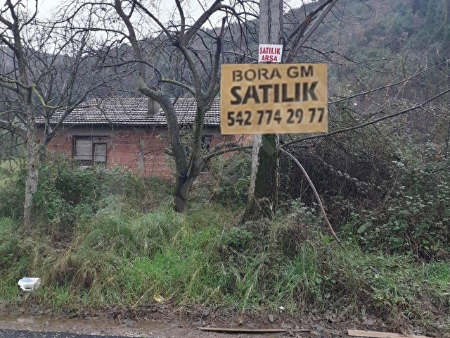 BORAdan, Kaytazderede DENİZ MANZARALI 7309 m² YOLA CEPHE TARLA - Görsel 7