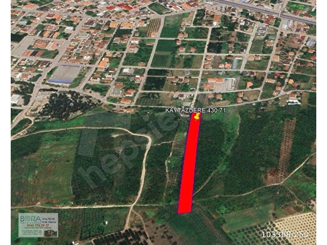 BORAdan, Kaytazderede DENİZ MANZARALI 7309 m² YOLA CEPHE TARLA - Görsel 25